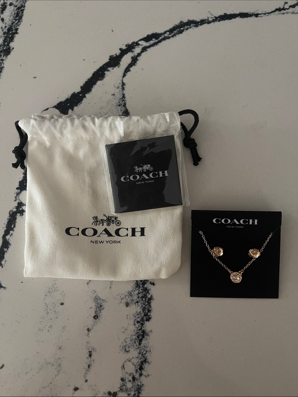 COACH Rose Gold-Tone Crystal Pendant Necklace Set